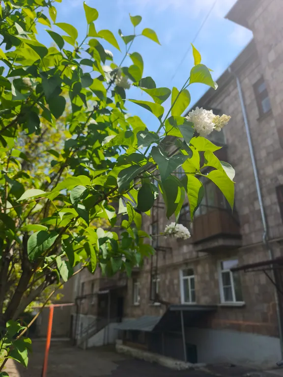 Квартира у Бульвара