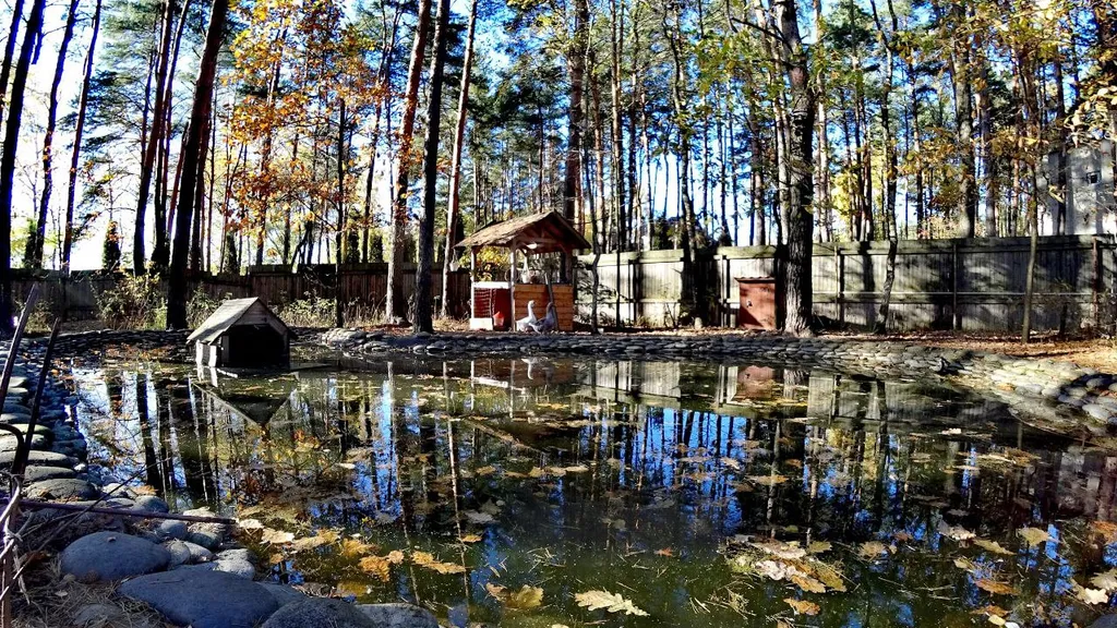 Уютный коттедж в сосновом лесу рядом с Москвой