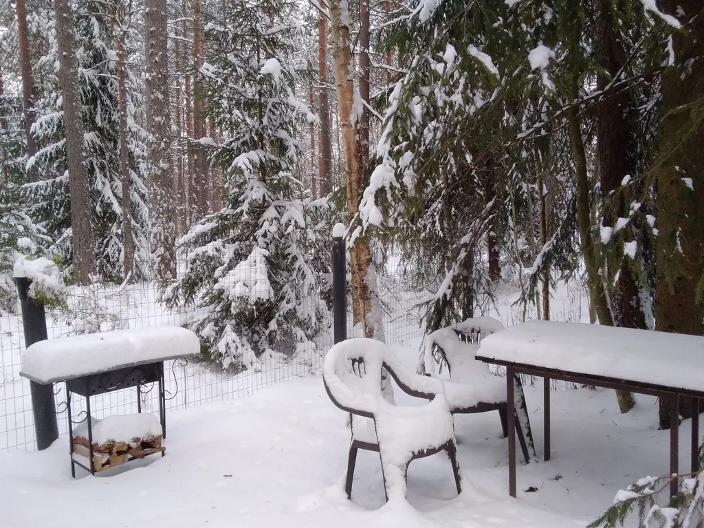 Уютный флигель у озера Большое Борково