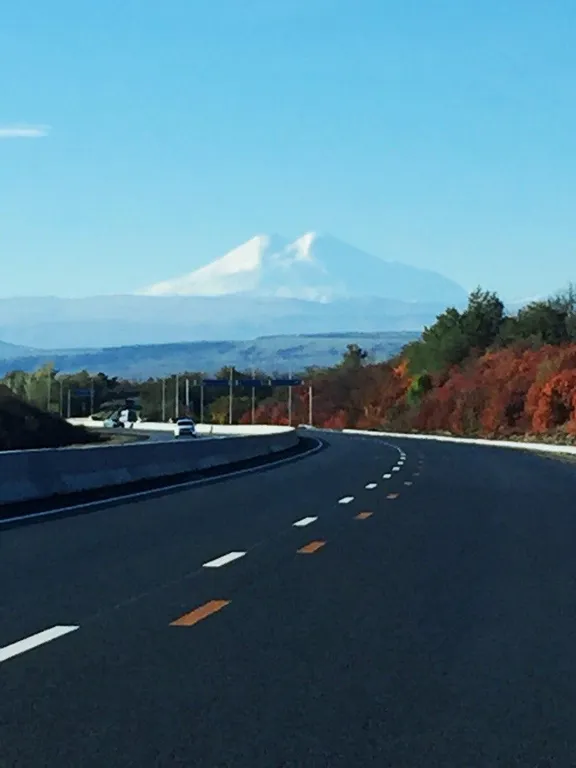 Небольшая квартира-студия гостиничного типа со всеми удобствами