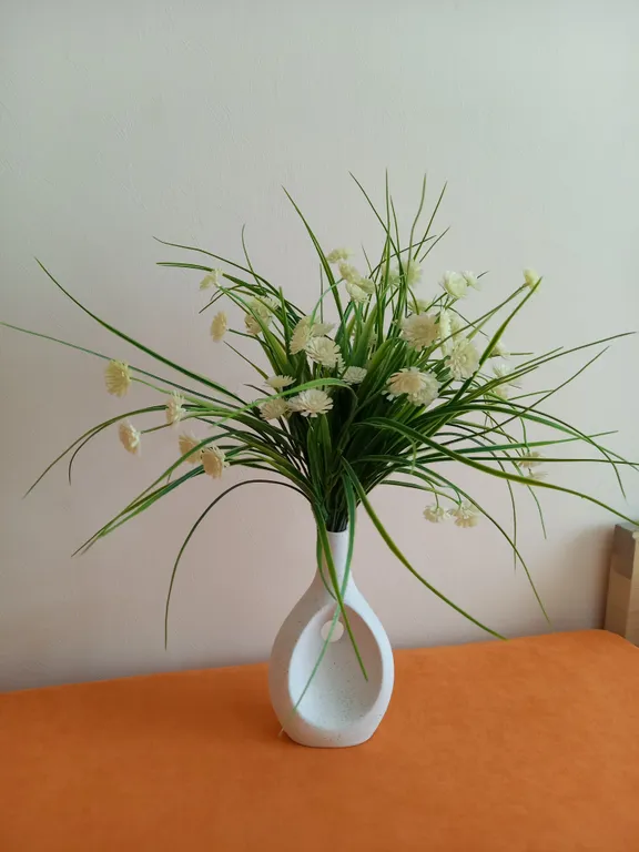 Солнечная орбита