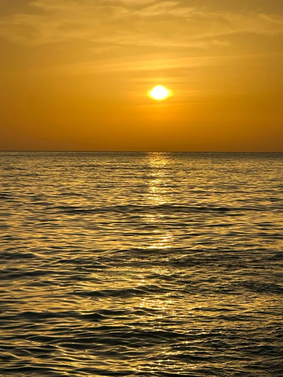 Дом в бамбуках в 500 метрах от моря