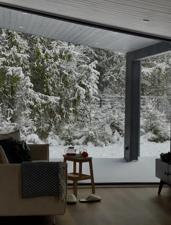 Домик на Новогодние праздники с панорамными окнами в лесу