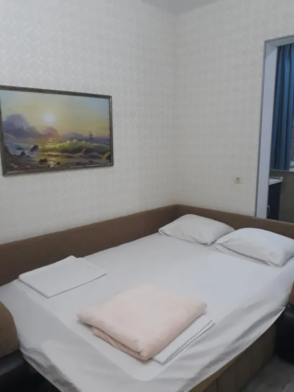 Квартира Уютная квартира в центре Лазаревского — Лазаревское