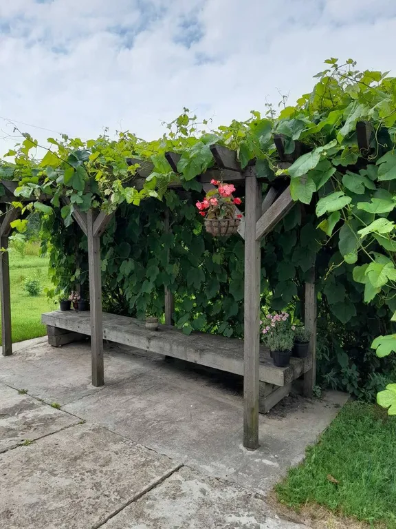 Усадьба Белый кролик