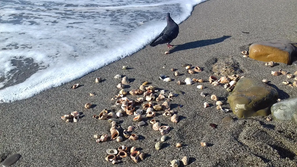 Студия в доме у моря