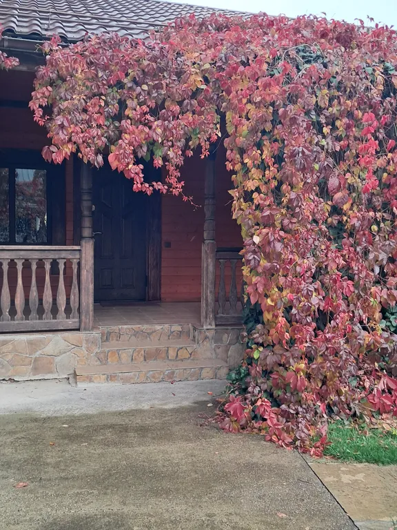 Коттедж Уютный домик — аренда посуточно в Гуамка