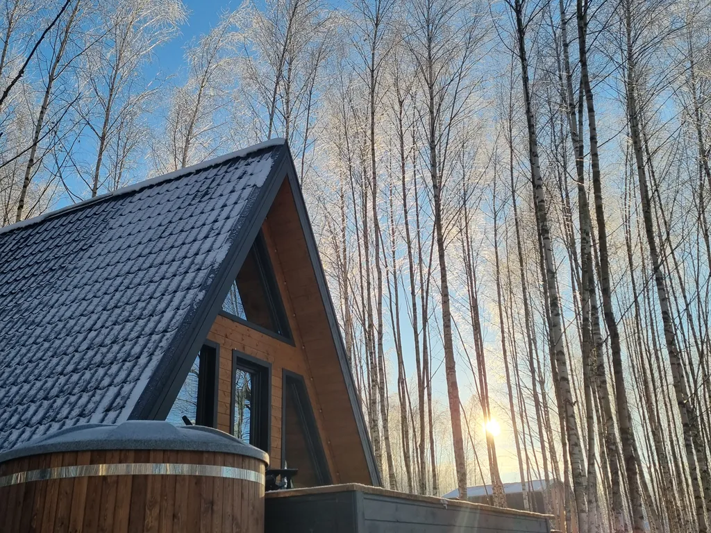 Коттедж Уютный А-фрейм домик с купелью в лесу — Соловеново