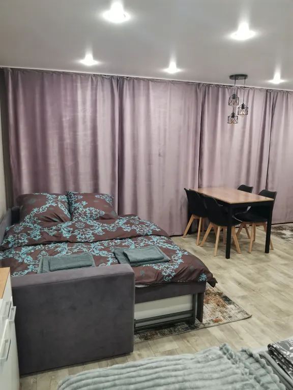 Квартира-студия в центре города