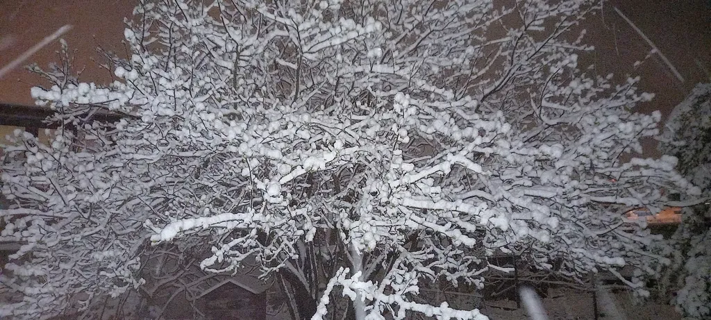 Дом старого художника в Севастополе