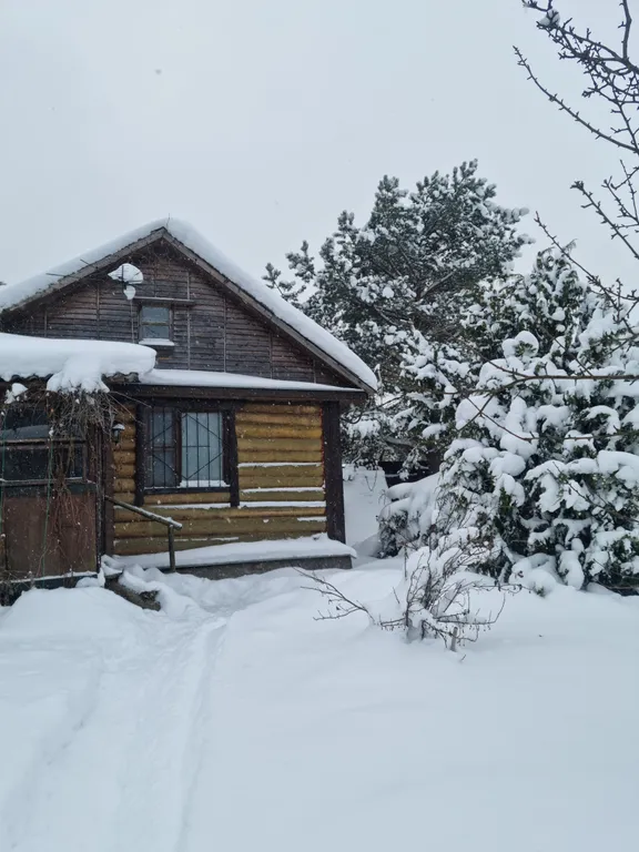 Эко дом в лесу