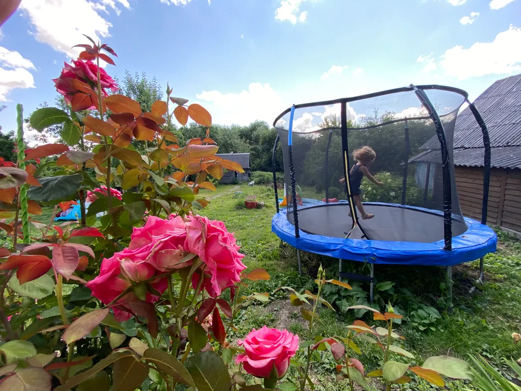 Дом холостяка