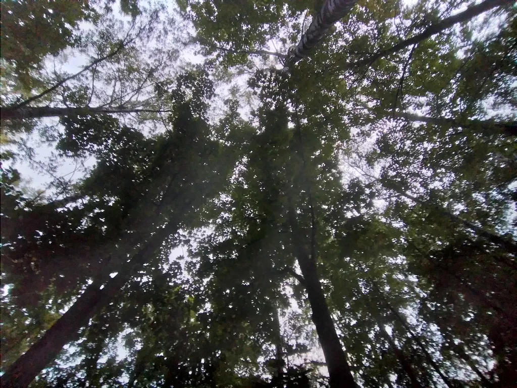 Квартира Уютная квартира, удобная транспортная доступность, зелёный микрорайон — Пушкин