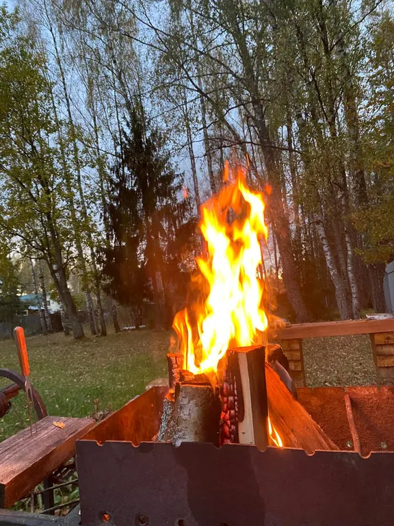 Дом в деревне