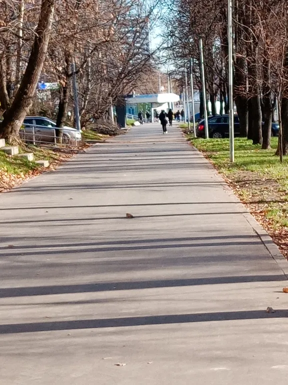 Квартира Квартира Уютная студия у метро Южная — Москва