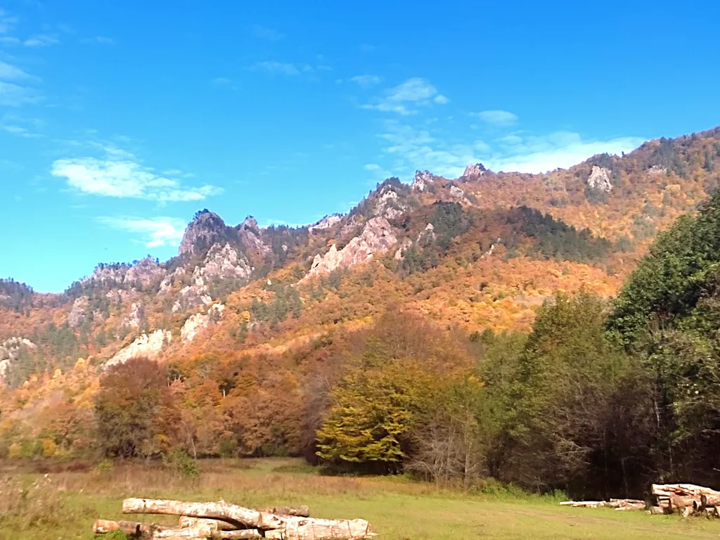 Шале с видом на лес и горы