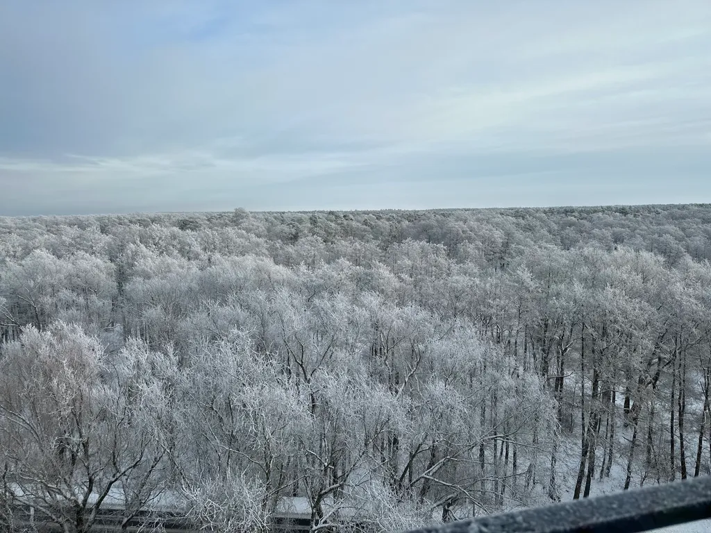 Квартира 2-комнатная Квартира — Зеленоградск