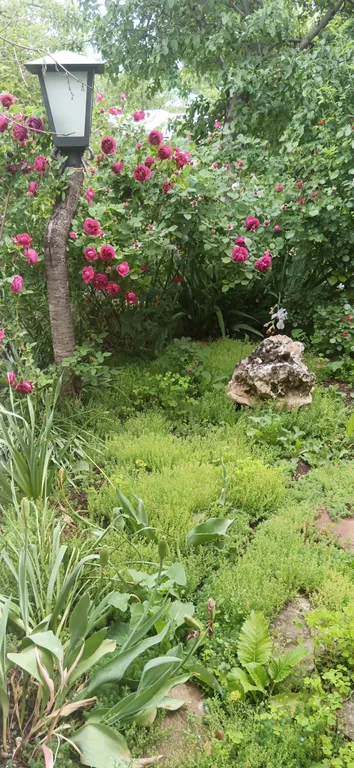 Коттедж Уютный дизайнерский дом с мангалом — Кисловодск