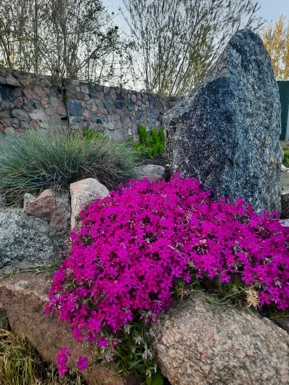 Дом в центре