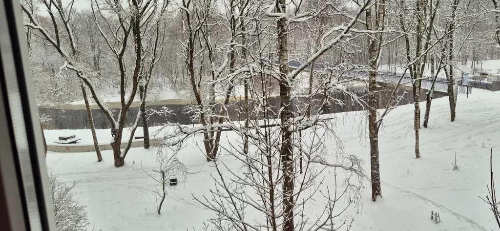 Квартира Квартира на берегу реки Луга — Луга