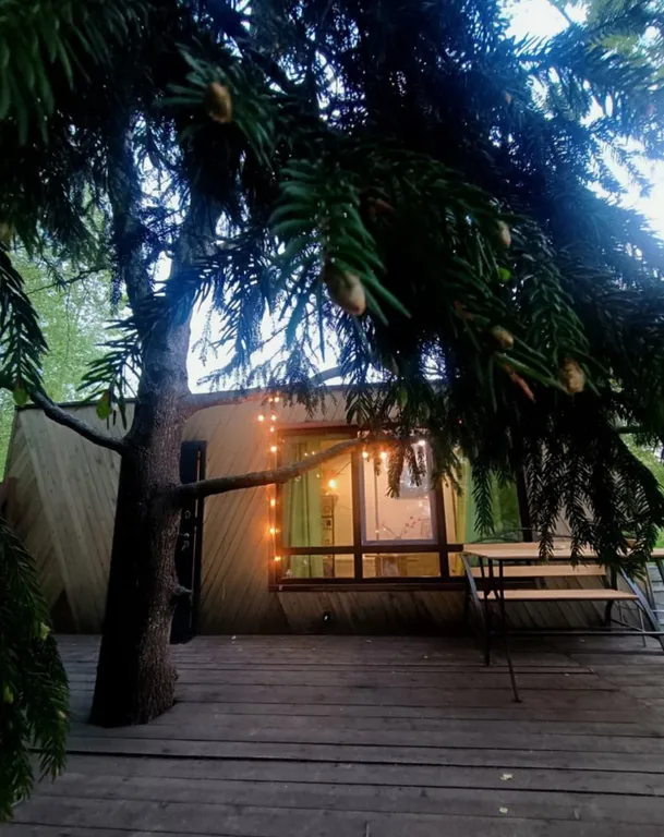 Чудо-дача, дом Акула на берегу пруда