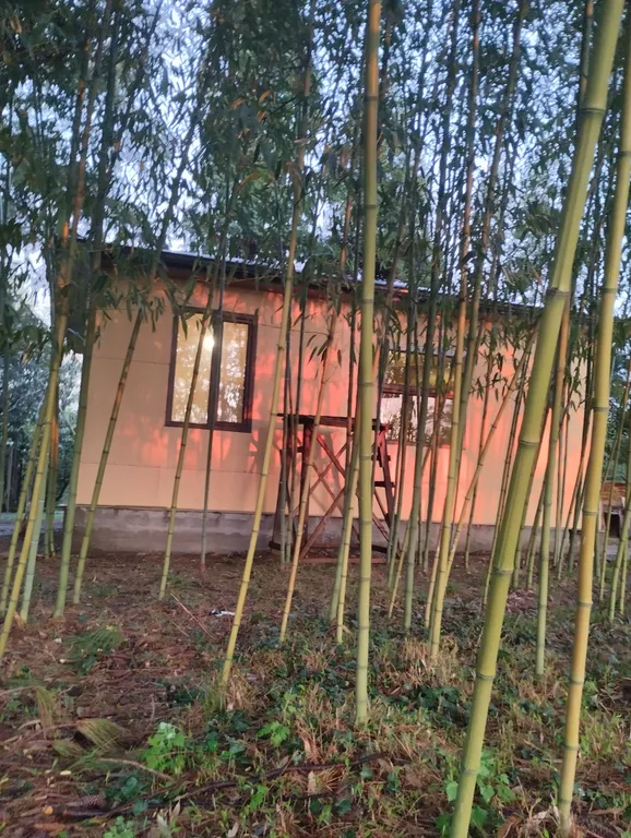 Коттедж у моря