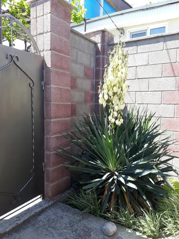 Отдых с видом на море