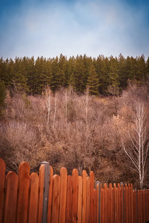 Гостевой дом и кедровая баня на Алтайской