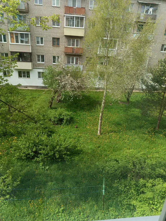 Уютная, светлая квартира в самом центре города