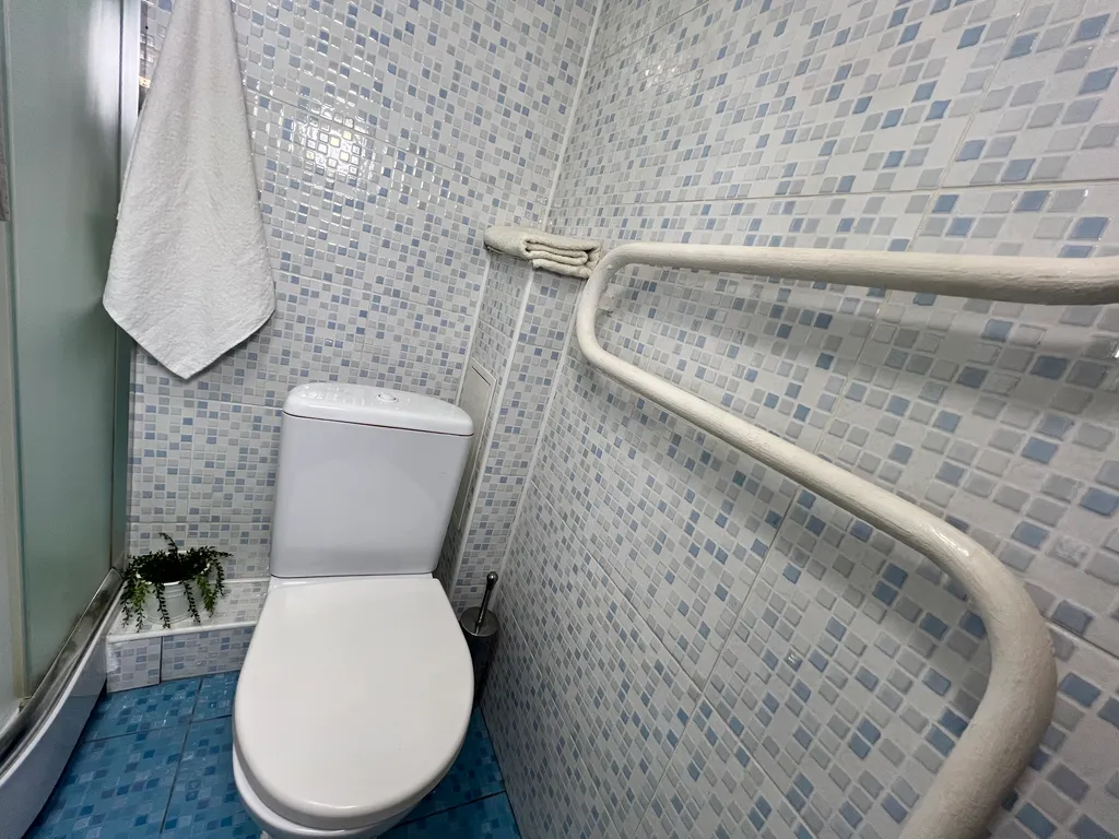 1-комнатная квартира в деловом и историческом центре города с новогодней елкой