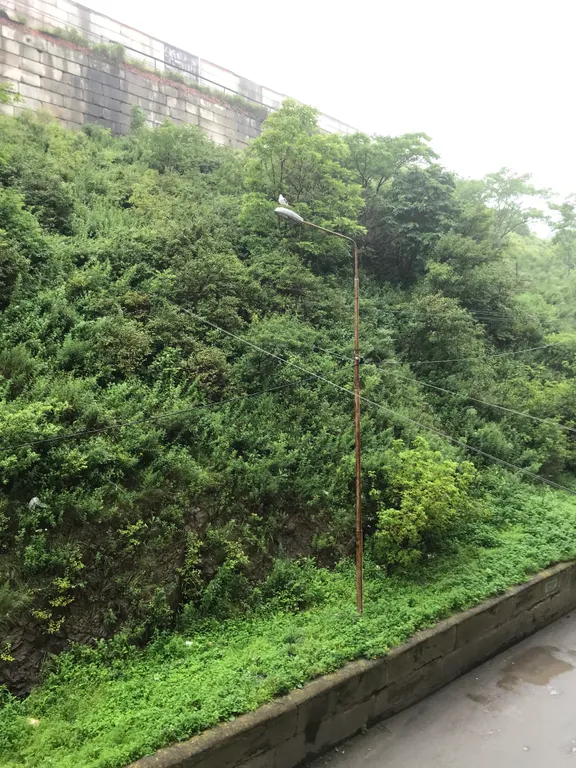 Студия-гостинка