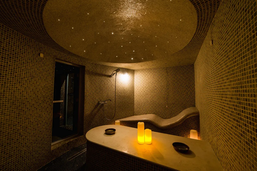 Дом-замок в Москве! Спа-зона, барбекю-зона внутри, караоке, кинозал...