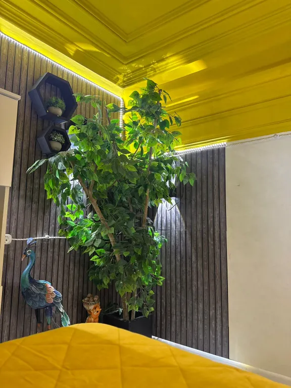 Квартира-студия в центре города