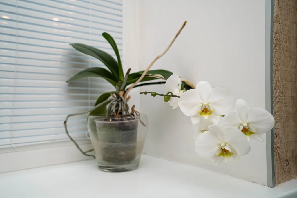 Квартира Уютная квартира в центре города — Ломоносов