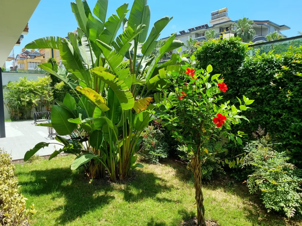 Стильные апартаменты в центре у пляжа Клеопатра