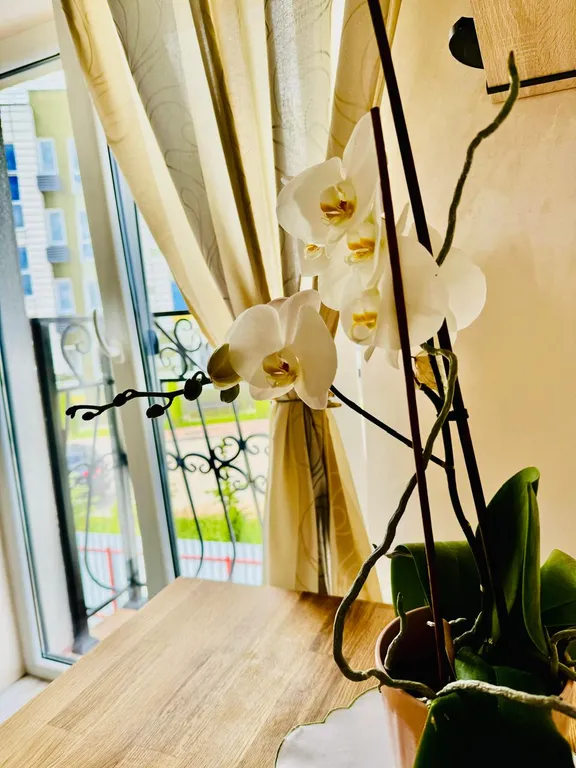 Загородный дом на побережье Балтийского моря