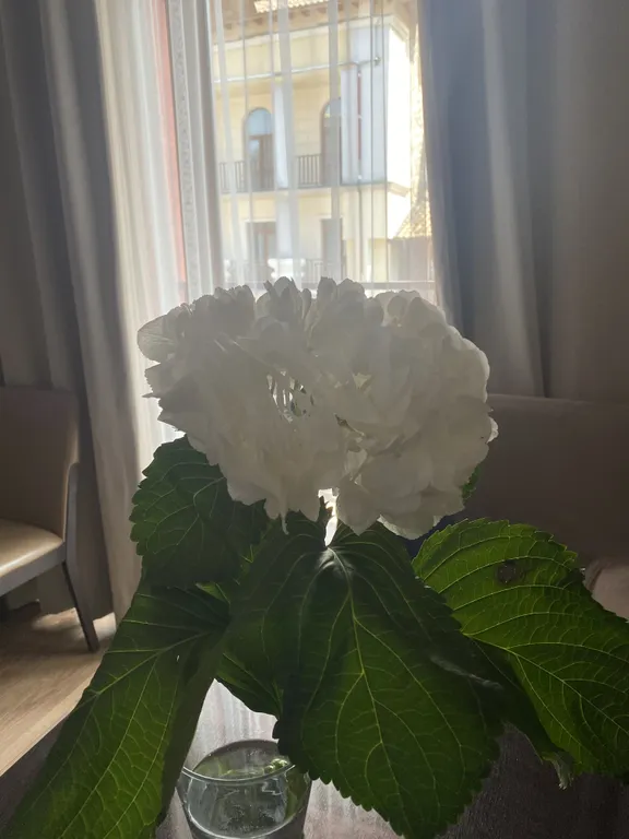 Апартаменты Горки город