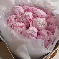 Савгат Алибекова