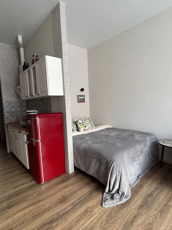 Уютная Арт студия в стиле Лондона 60 годов На границе Нацпарка