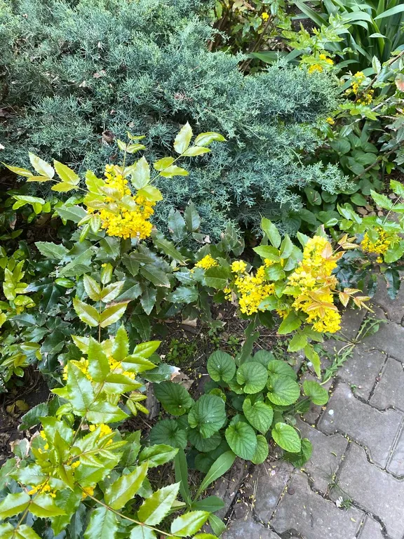 Загородный дом с садом и бассейном