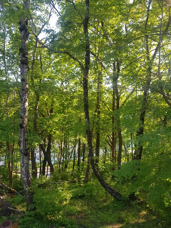 Уютная и атмосферная квартира в центре