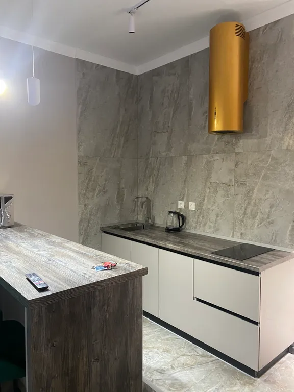 Современная квартира в центре города