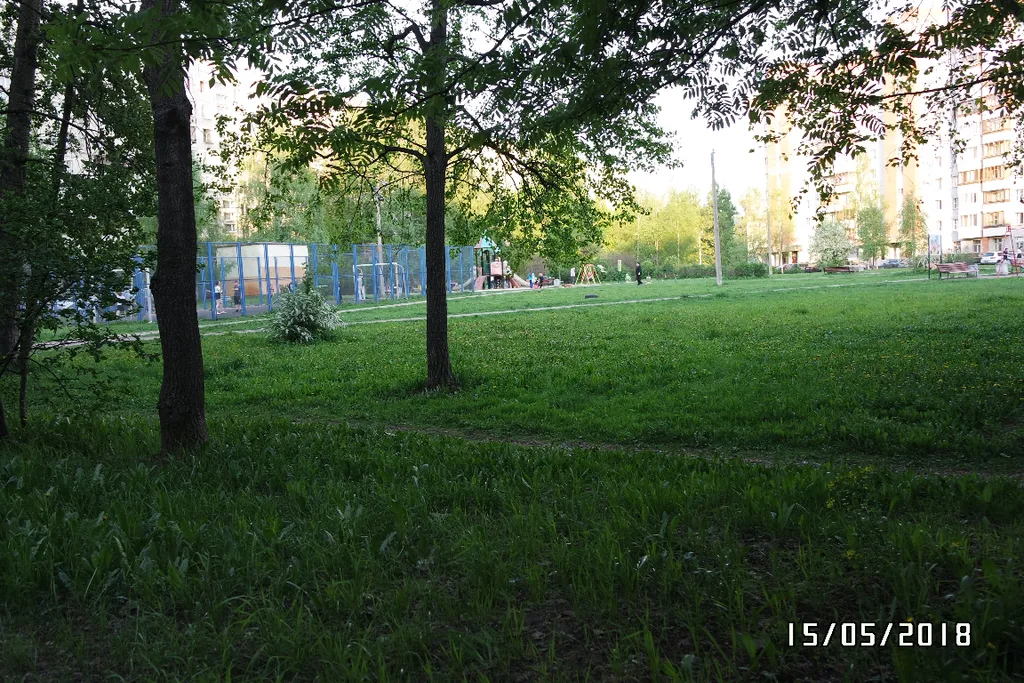Квартира Тихая светлая уютная квартира недалеко от центра — Санкт-Петербург