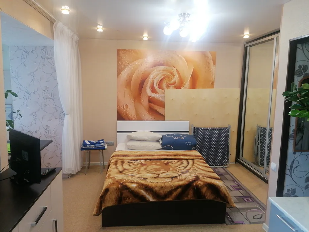 Уютная студия в центре города