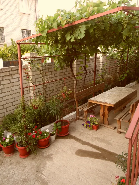 Квартира Терракотовая комната — Геленджик