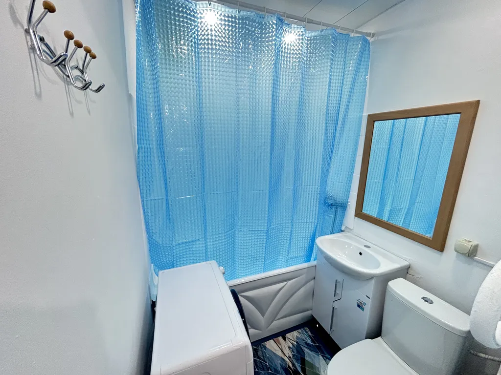 Однокомнатная квартира в центре города