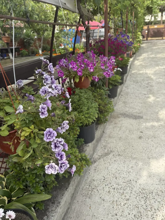 Квартира Квартира BoxHouse Семейный апартамент 4-местный — Адлер