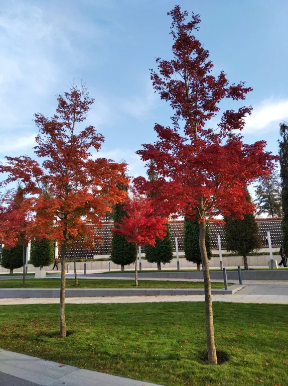 Квартира Уютная квартира в Панораме рядом с парком Галицкого — Краснодар