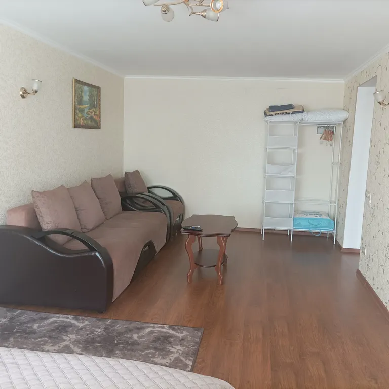 Большая и просторная 1-комнатная квартира