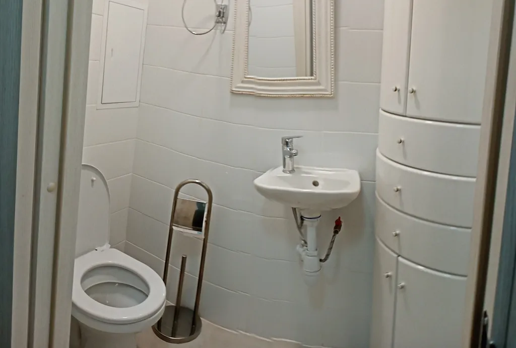 Рядом метро и Петроградка